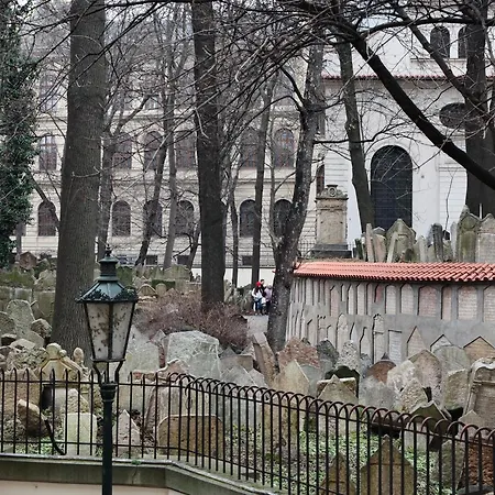 アパート My Old Prague's Hall Of Music プラハ